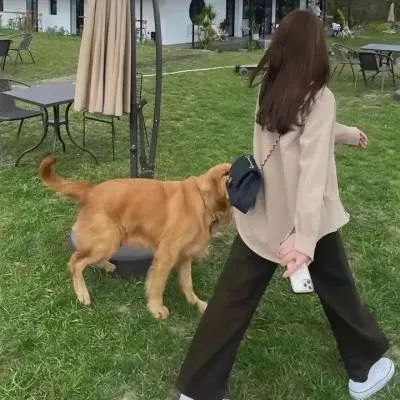 【吉卜力童话】《猫的报恩》高清在线：救了一只猫王子，结果被请到猫咪国度差点变成猫的奇妙探险